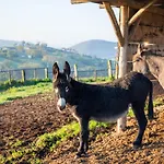 Antiche Vie Bed & Breakfast Serramazzoni