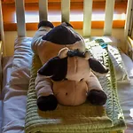 Bed & Breakfast Antiche Vie