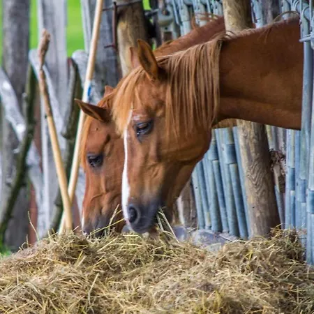 Antiche Vie 4* Serramazzoni