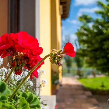 Bed & Breakfast Antiche Vie Serramazzoni