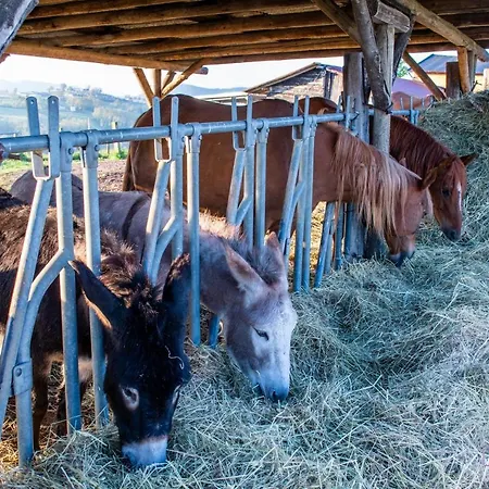 Bed & Breakfast Antiche Vie Serramazzoni