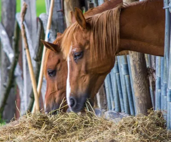 Antiche Vie 4* Serramazzoni