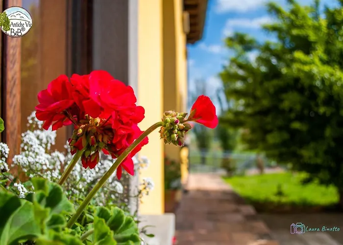 Bed & Breakfast Antiche Vie Serramazzoni