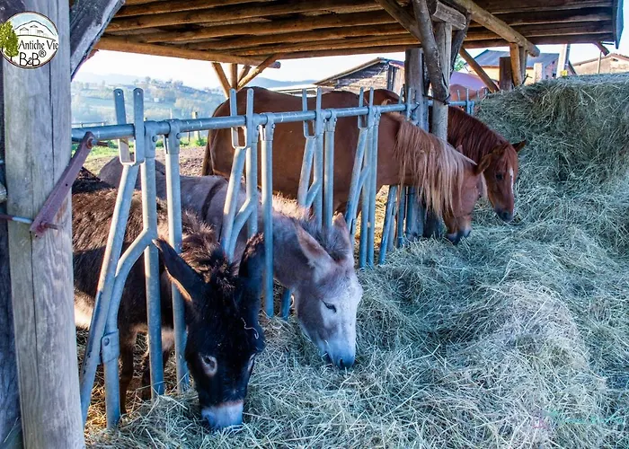 Bed & Breakfast Antiche Vie Serramazzoni