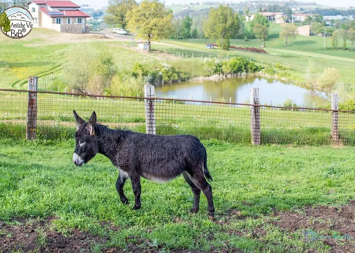 Antiche Vie 4* Serramazzoni