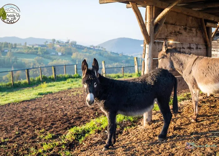 Antiche Vie Bed & Breakfast Serramazzoni