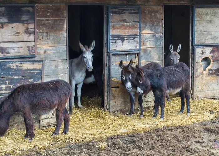 Antiche Vie Alojamento de Acomodação e Pequeno-almoço 4*